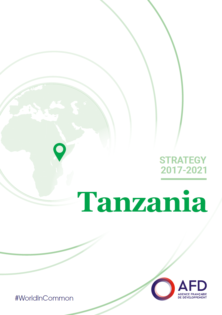 Strategy Tanzania