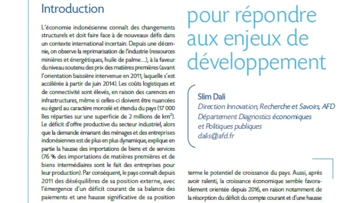 Macrodev  N°24 Indonésie Couverture